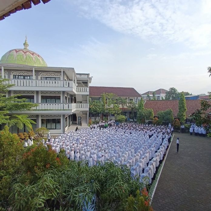 WhatsApp Image 2024-12-12 at 2.40.14 PM