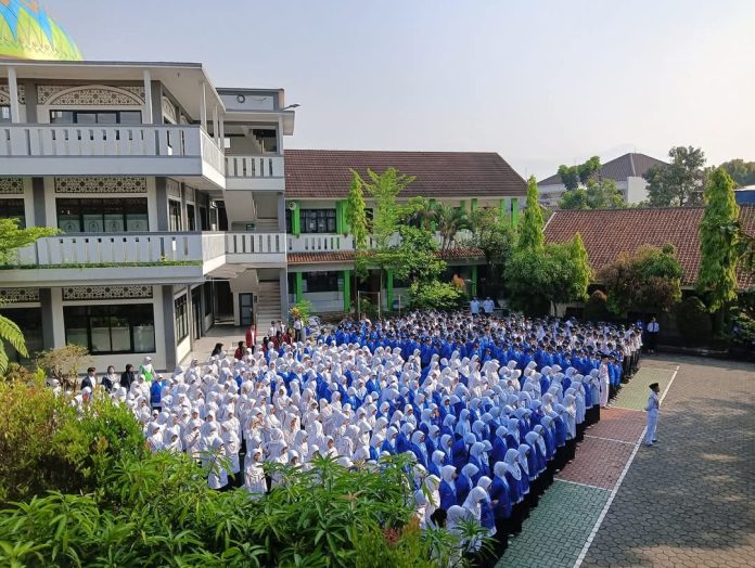 WhatsApp Image 2024-12-12 at 2.19.02 PM